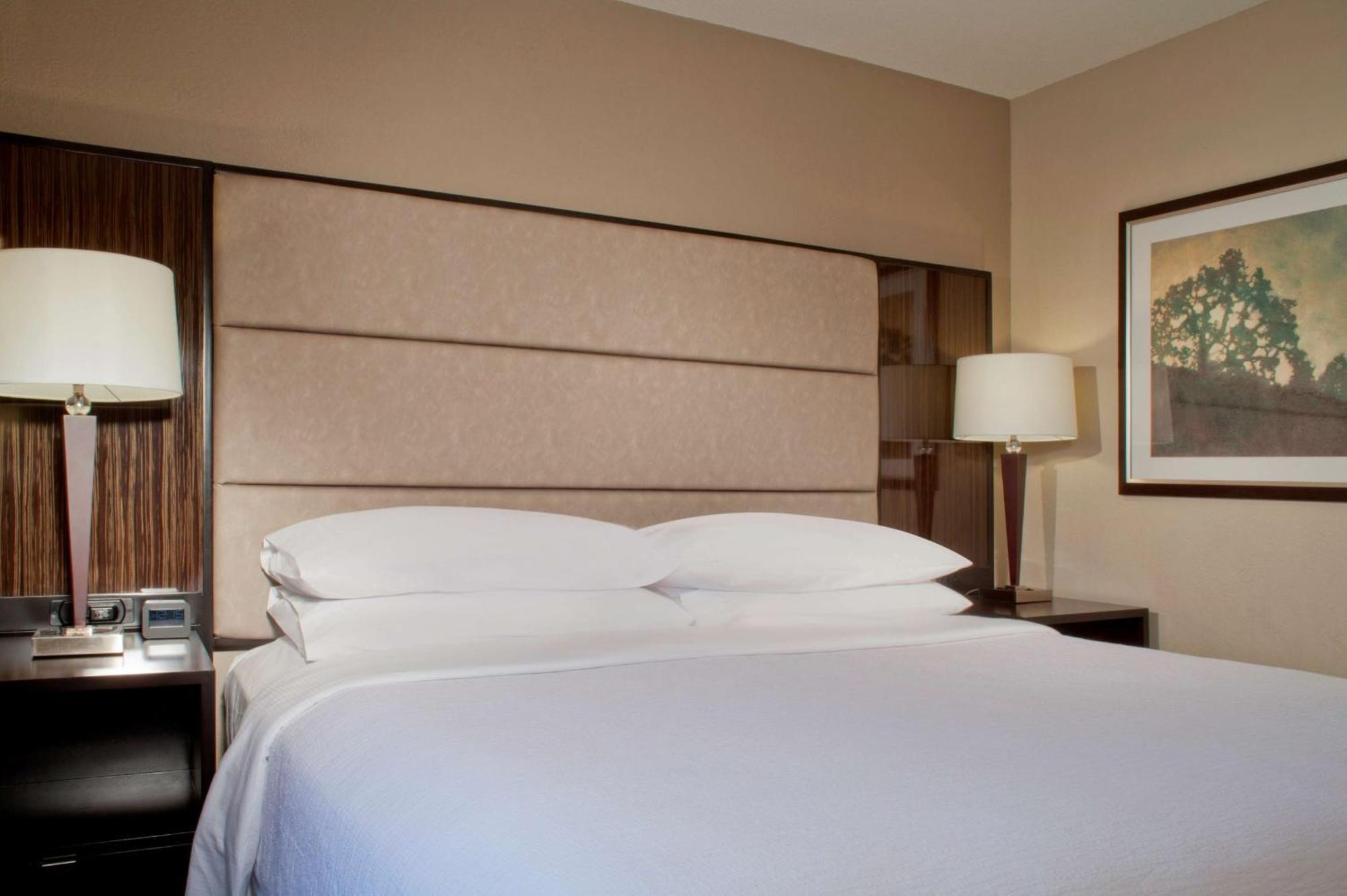 Embassy Suites By Hilton Houston Near The Galleria Εξωτερικό φωτογραφία